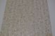 Шпалери вінілові на паперовій основі супер мийка Слов'янські шпалери Expromt В49,4 Короїд бежевий 0,53 х 10,05м (5656-01)