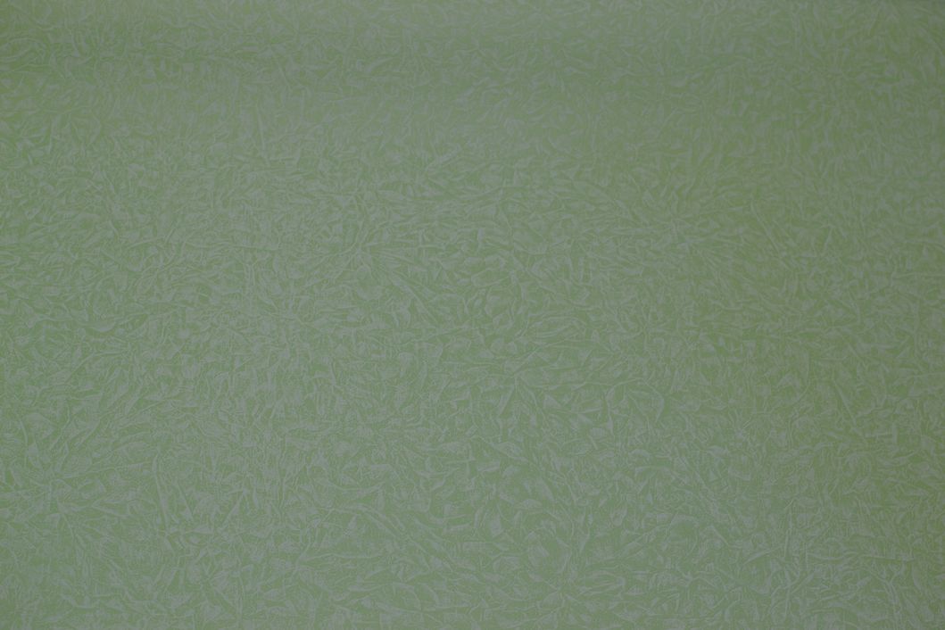 Шпалери вінілові на флізеліновій основі Sintra Paint Color зелений 1,06 х 10,05м (541 234)