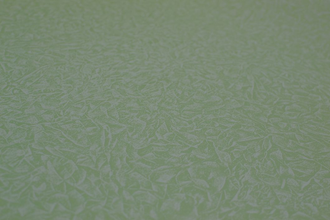 Шпалери вінілові на флізеліновій основі Sintra Paint Color зелений 1,06 х 10,05м (541 234)
