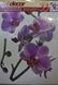 Наклейка декоративна Артдекор №33 Орхідеї (5948 - 33)