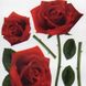 Наклейка декоративная АртДекор №18 Алые розы (430-18)