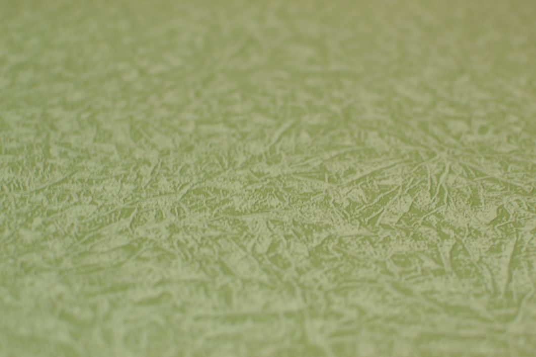 Обои бумажные Золотое руно Вернисаж зелёный 0,53 х 10,05м (786-09)