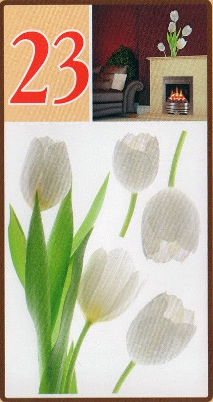 Наклейка декоративная АртДекор №23 Белые тюльпаны (431-23)