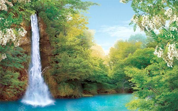 Фотошпалери звичайний папір Біла акація 18 аркушів 210 см х 290 см (121110), Бронза, Бронза, Шостка, Чорноморськ, Чернівці, Чернігів, Черкаси, Червоноград, Хмельницький, Харків, Умань, Ужгород, Тернопіль, Суми, Стрий, Рівне, Прилуки, Полтава, Первомайськ, Павлоград, Одеса, Новомосковськ, Новоград-Волинський, Нововолинськ, Нікополь, Миколаїв, Ніжин, Мукачеве, Львів, Луцьк, Кропивницький, Кривий Ріг, Кременчук, Коростень, Конотоп, Коломия, Ковель, Кам'янське, Кам'янець-Подільський, Калуш, Ізмаїл, Івано-Франківськ, Запоріжжя, Житомир, Дрогобич, Дніпро, Горішні Плавні, Вінниця, Бровари, Бердичів, Біла Церква, Олександрія, Красиві