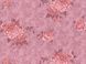 Шпалери вінілові на флізеліновій основі Слов'янські шпалери B109 Евеліна бордовий 1,06 х 10,05м (K 571 - 13)