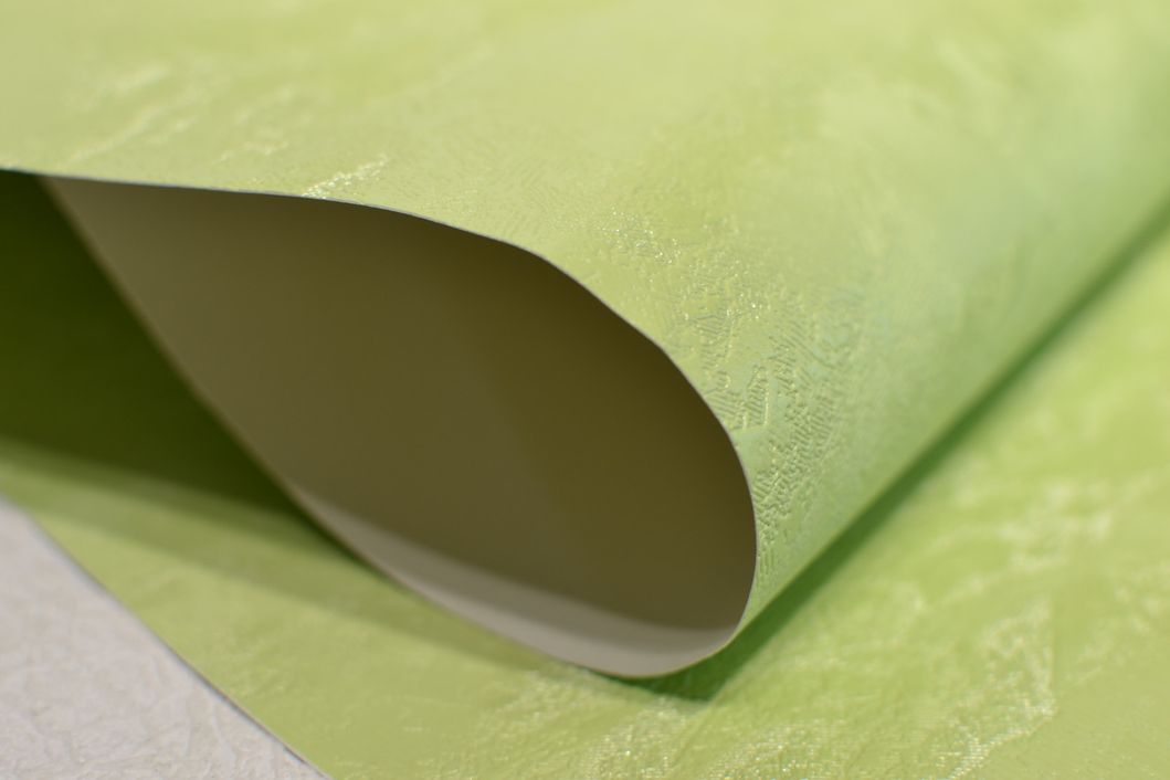 Шпалери вінілові на паперовій основі супер мийка Слов'янські шпалери Expromt В49,4 Валерія 2 зелений 0,53 х 10,05м (5735-08)