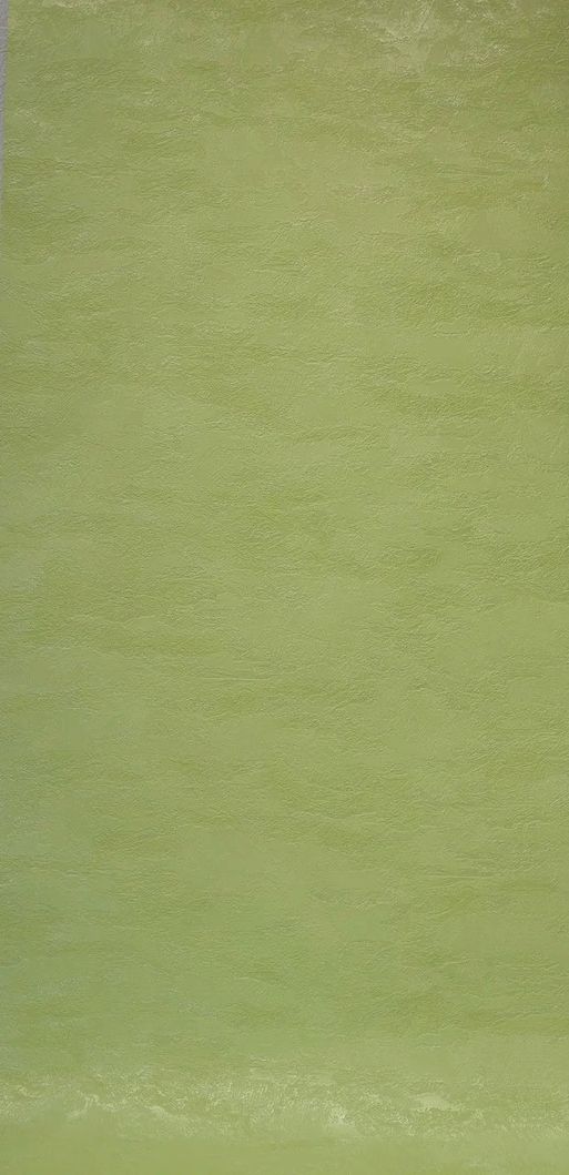 Обои виниловые на бумажной основе супер мойка Славянские обои Expromt В49,4 Валерия 2 зелёный 0,53 х 10,05м (5735-08)