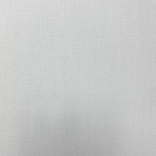Обои виниловые на флизелиновой основе Erismann Spotlight белый 1,06 х 10,05м (12073-01)