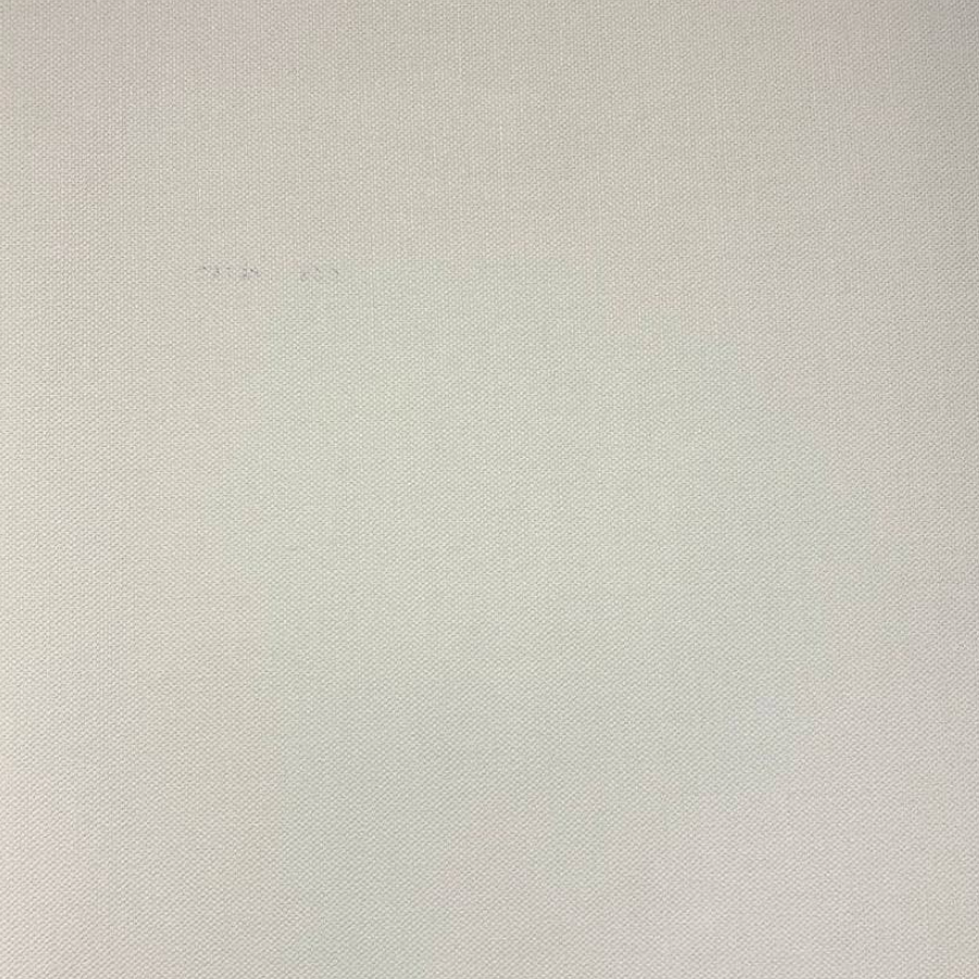 Шпалери вінілові на флізеліновій основі Rasch Poetry білий 0,53 х 10,05м (424010)