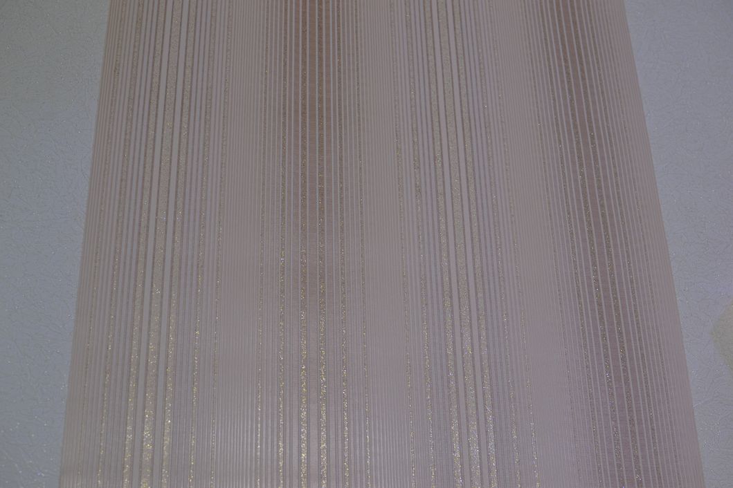 Шпалери вінілові на паперовій основі Слов'янські шпалери B40,4 Блюз бежевий 0,53 х 15м (5633 - 01)