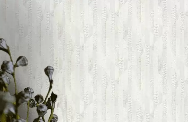 Обои виниловые на флизелиновой основе Wallpaper Roberto Cavalli Home белый 1,06 х 10,05м (RC19068), Белый, Белый, Шостка, Черноморск, Черновцы, Чернигов, Черкассы, Червоноград, Хмельницький, Харків, Умань, Ужгород, Тернополь, Сумы, Стрый, Ровно, Прилуки, Полтава, Первомайск, Павлоград, Одесса, Новомосковск, Новоград-Волынский, Нововолынск, Никополь, Николаев, Нежин, Мукачево, Львов, Луцк, Кропивницкий, Кривой Рог, Кременчуг, Коростень, Конотоп, Коломыя, Ковель, Каменское, Каменец-Подольский, Калуш, Измаил, Ивано-Франковск, Запорожье, Житомир, Дрогобыч, Днепр, Горишние Плавни, Винница, Бровары, Бердичев, Белая Церковь, Александрия, Красивые, +