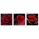 Картина триптих на полотні 3 частини Червоні троянди 30 х 30 см (3873-ТС174)