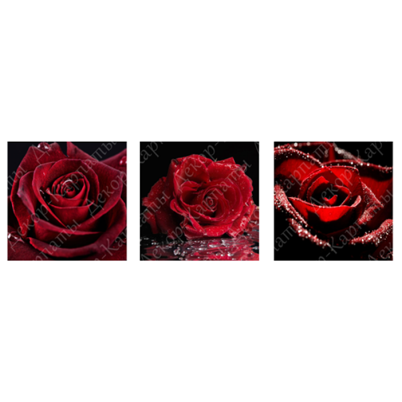 Картина триптих на холсте 3 части Красные розы 30 х 30 см (3873-ТС174)