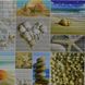 Панель стінова декоративна пластикова мозаїка ПВХ "Морський берег" 956 мм х 480 мм (2), Разные цвета, Різні кольора