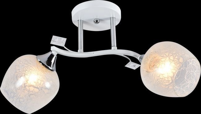 Декоративная люстра ISINTEREES ISXA1276/2 Chrome на 2 плафона, Белый4