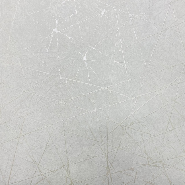 Шпалери вінілові на флізеліновій основі A.S. Creation Attico білий 1,06 х 10,05м (39219-1)