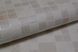 Шпалери вінілові на паперовій основі супер мийка Bravo бежевий 0,53 х 10,05м (81033BR14),