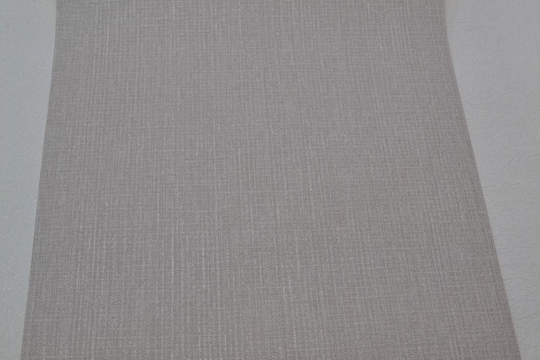 Шпалери вінілові на паперовій основі Vinil ВК3 Жак сірий 0,53 х 10,05м (3-0755)
