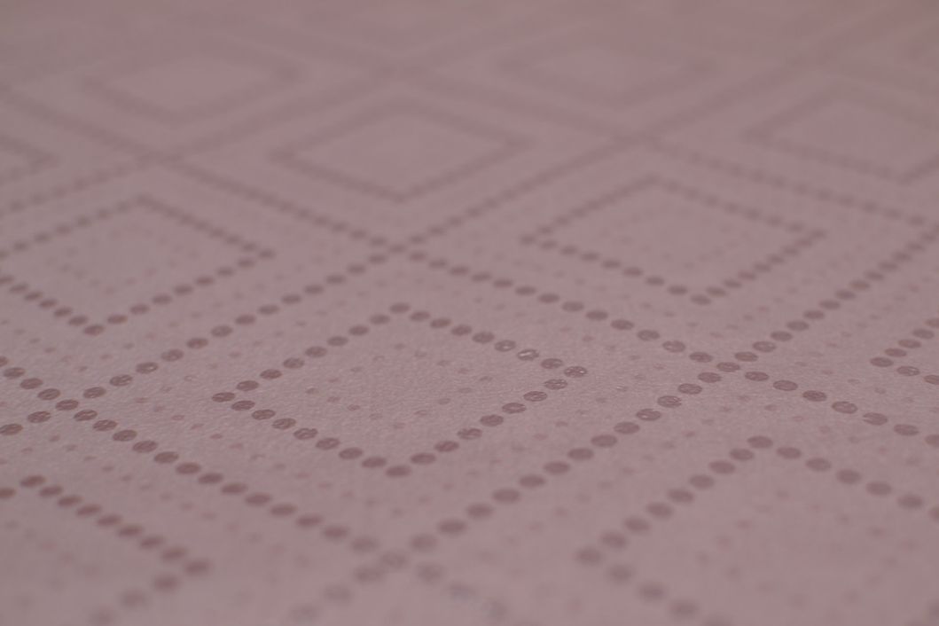 Шпалери паперові Шарм рожевий 0,53 х 10,05м (155-10)