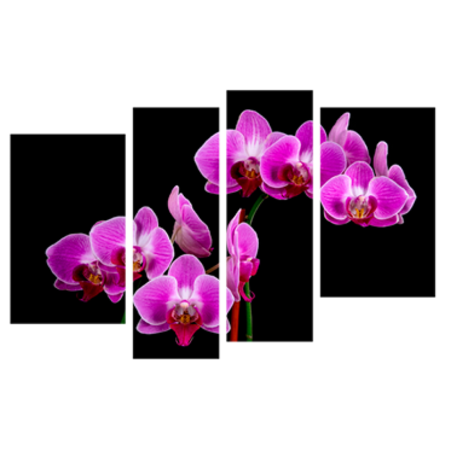 Картина модульна 4 частини Орхідея 80 х 120 см (8388-С-40)