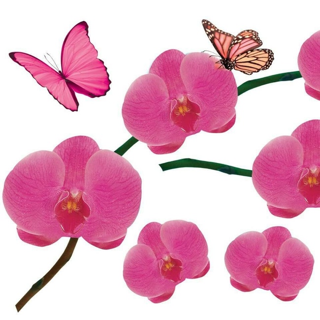 Наклейка декоративная Label №12 Орхидея розовая (2373 - 12)