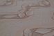 Шпалери вінілові на флізеліновій основі Слов'янські шпалери VIP Class В97 Ліана бежевий 1,06 х 10,05м (2078-02)