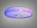 Стельова люстра LED біла 80 Вт RGB Bluetooth TUYA, TUYA додаток