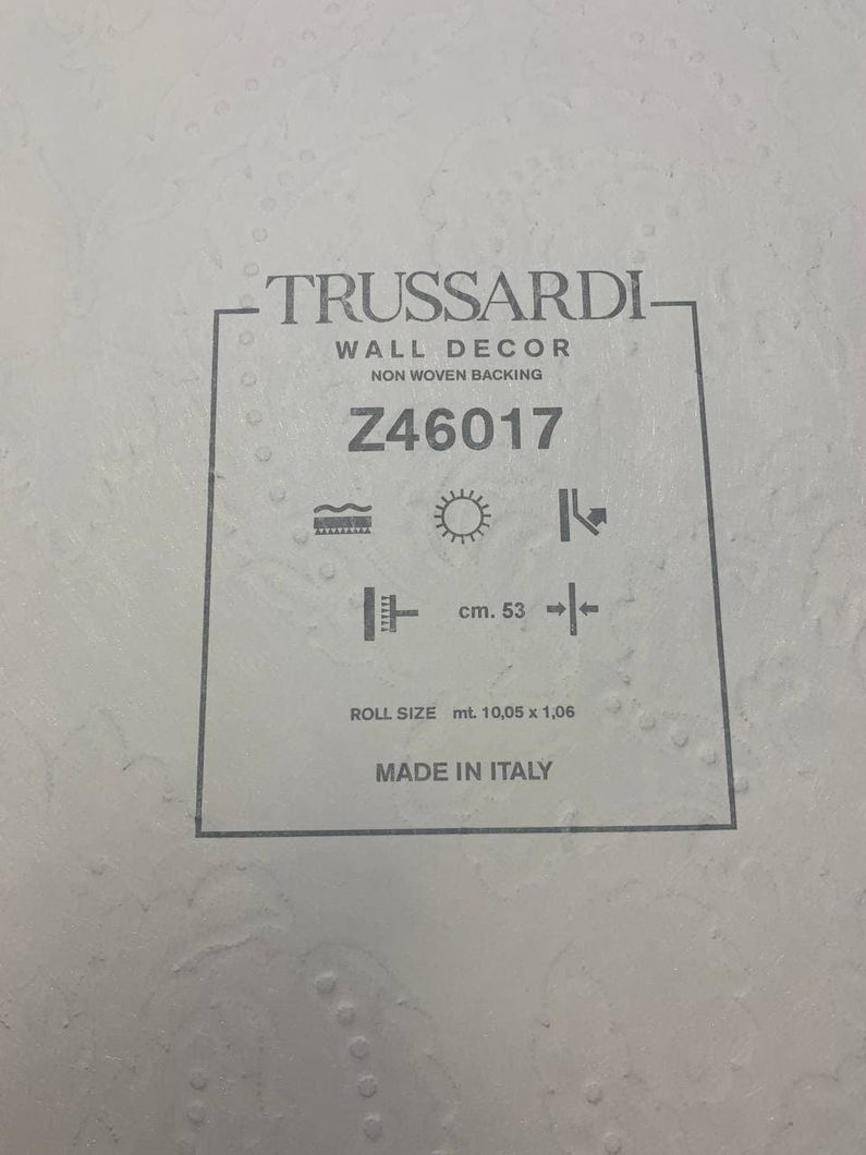 Шпалери вінілові на флізеліновій основі Zambaiti Parati Trussardi 6 сіро-коричневий 1,06 х 10,05м (Z46017)