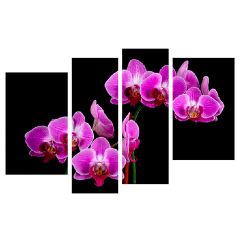 Картина модульная 4 части Орхидея 80 х 120 см (8388-С-40)