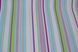 Шпалери вінілові на флізеліновій основі Vilia квітня смуга різнокольоровий 1,06 х 10,05м (1176-91)