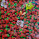Клеенка на стол ПВХ на основе Клубника цветы красный 1,4 х 1м (100-240), Красный, Красный