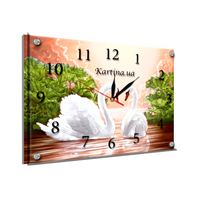 Часы-картина под стеклом Белые лебеди 30 см х 40 см (8439 - К - 249)