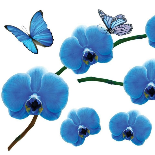 Наклейка декоративная Label №11 Орхидея синяя (2374 - 11)