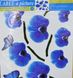 Наклейка декоративна Label №11 Орхідея синя (2374 - 11)