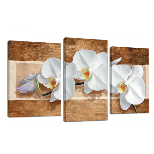 Картина модульная 3 части Орхидея на бежевом 53 х 100 см (8290-453)