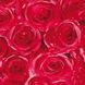 Самоклейка декоративна Gekkofix Троянди червоний глянець 0,45 х 1м (12679), Червоний, Червоний