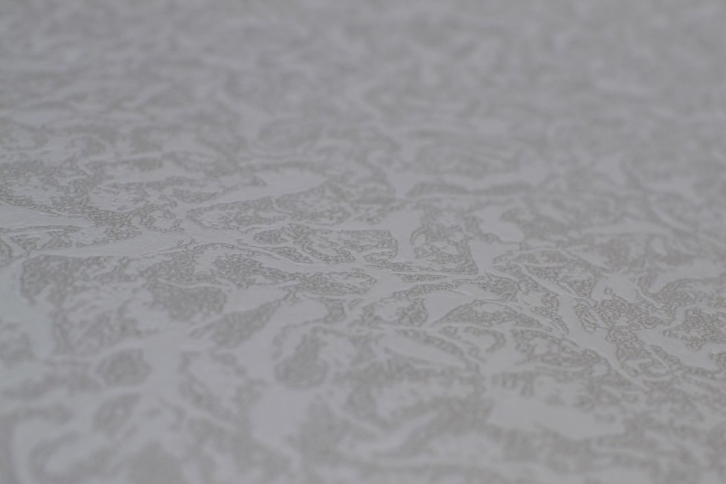 Обои дуплексные на бумажной основе Эксклюзив серый 0,53 х 10,05м (402-01)
