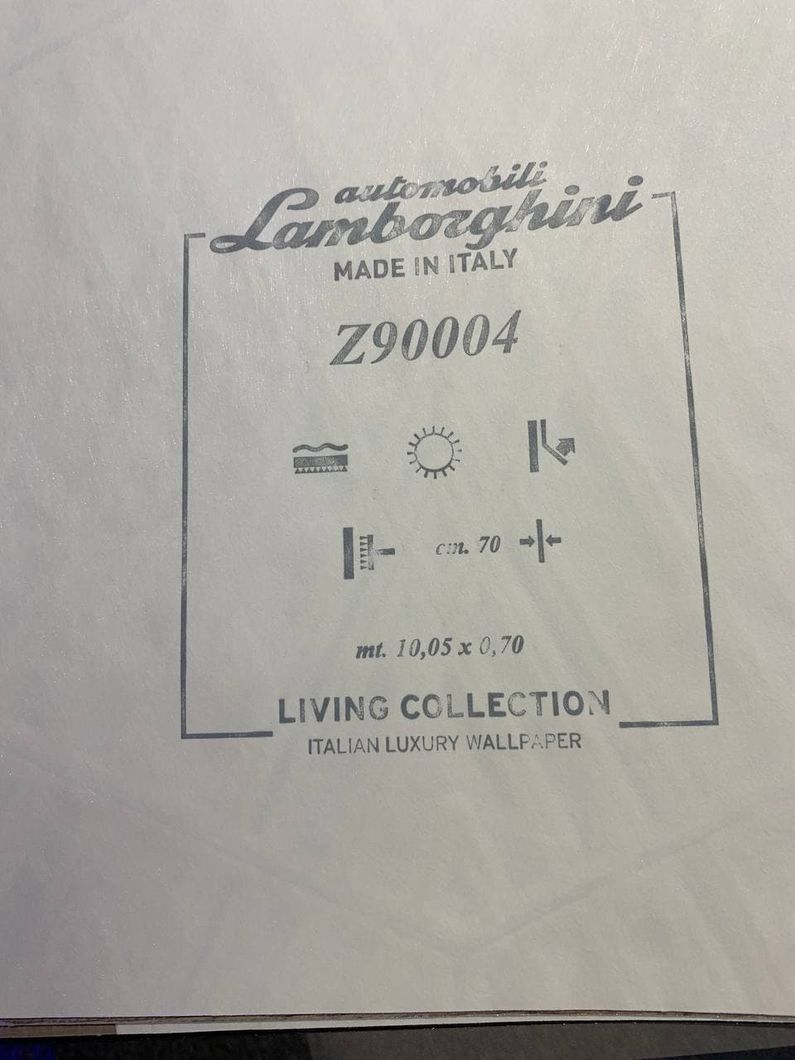 Обои виниловые на флизелиновой основе Zambaiti Parati Lamborghini 2 белый 0,70 х 10,05м (Z90004)