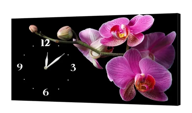 Часы настенные на холсте без стекла Орхидея 24 см х 44 см (8479-C-2)