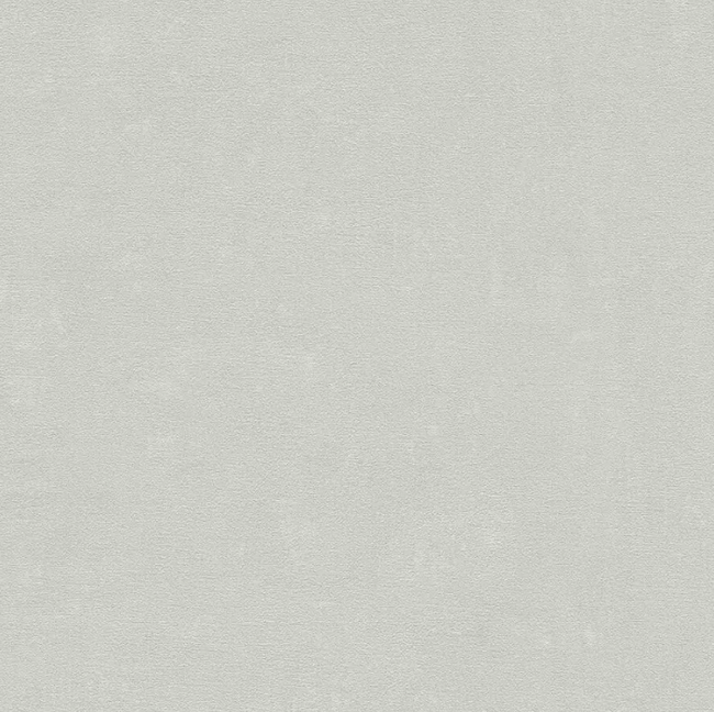 Обои виниловые на флизелиновой основе серые AS Creation Deluxe 1,06 х 10,05м (39939-2)
