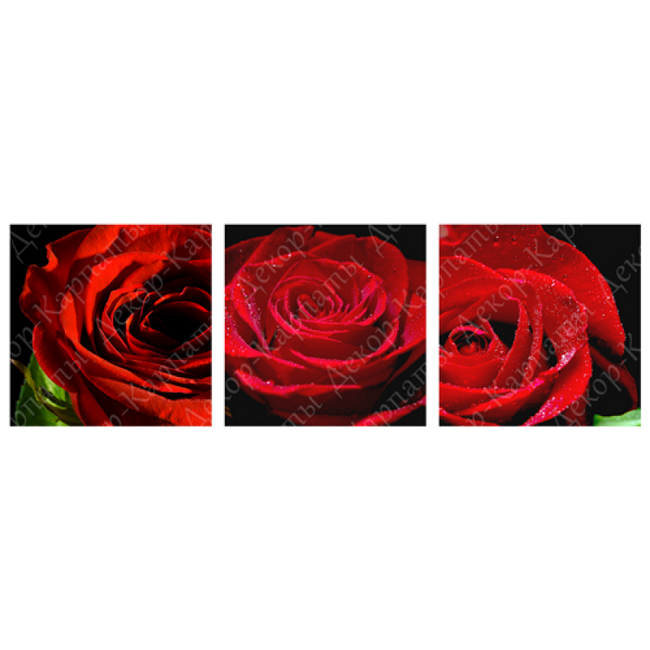 Картина триптих на холсте 3 части Красные розы 30 х 30 см (3930-ТС129)