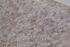 Шпалери вологостійкі на паперовій основі Слов'янські шпалери Venice В56,4 бежевий 0,53 х 10,05м (4063-002)