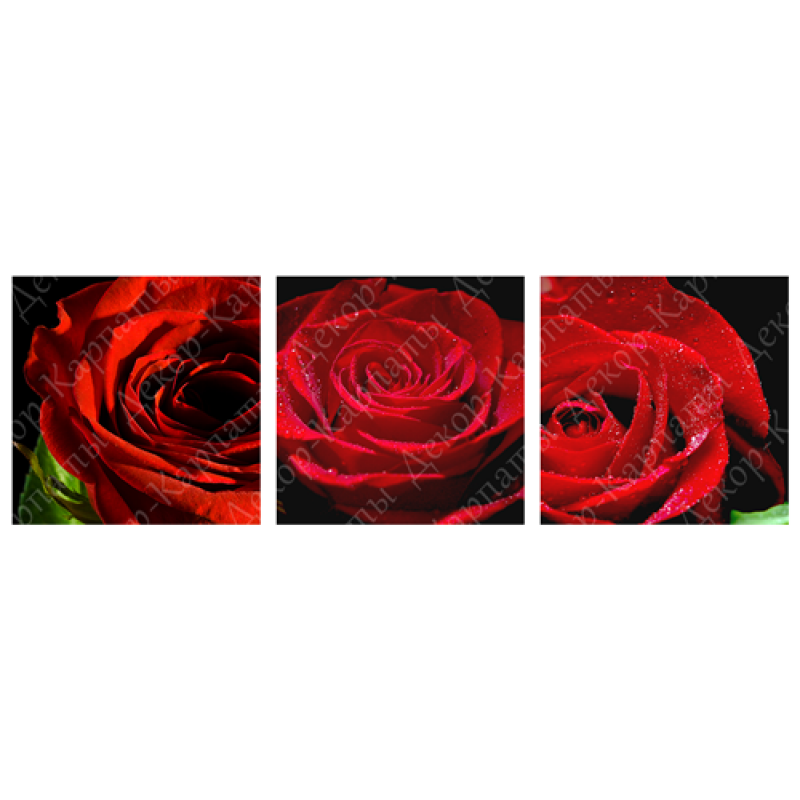 Картина триптих на холсте 3 части Красные розы 30 х 30 см (3930-ТС129)