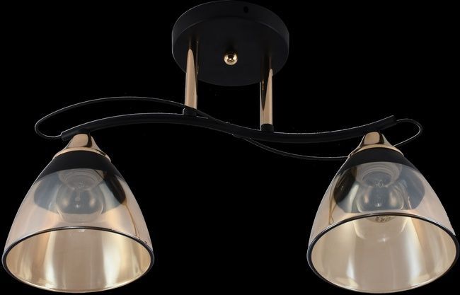 Люстра декоративна INTEREES IS XA1248B/2 Gold+Black на 2 плафонів, Черный/золотой