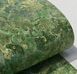Шпалери вінілові на флізеліновій основі Слов'янські шпалери LeGrand Platinum В118 Джунглі 2 зелений 1,06 х 10,05м (8625-04),