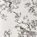 Обои виниловые на флизелиновой основе Wallpaper Roberto Cavalli Home бежевый 1,06 х 10,05м (RC19046), Бежевый, Бежевый, Шостка, Черноморск, Черновцы, Чернигов, Черкассы, Червоноград, Хмельницький, Харків, Умань, Ужгород, Тернополь, Сумы, Стрый, Ровно, Прилуки, Полтава, Первомайск, Павлоград, Одесса, Новомосковск, Новоград-Волынский, Нововолынск, Никополь, Николаев, Нежин, Мукачево, Львов, Луцк, Кропивницкий, Кривой Рог, Кременчуг, Коростень, Конотоп, Коломыя, Ковель, Каменское, Каменец-Подольский, Калуш, Измаил, Ивано-Франковск, Запорожье, Житомир, Дрогобыч, Днепр, Горишние Плавни, Винница, Бровары, Бердичев, Белая Церковь, Александрия, Красивые