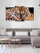 Модульная картина в гостиную/спальню для интерьера "Тигр" 3 части 53 x 100 см (MK30227_E)