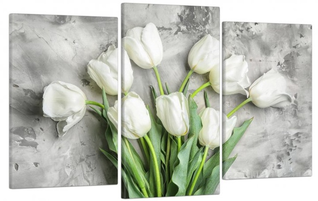 Модульная картина в гостиную/спальню для интерьера "Белые тюльпаны" 3 части 53 x 100 см (MK30170_E)