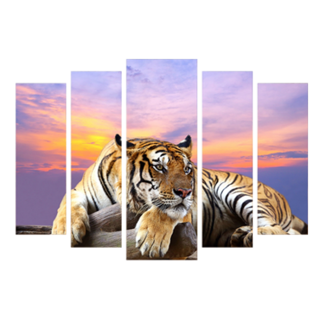 Картина модульна 5 частин Тигр 80 х 120 см (8395-Q-011)