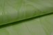 Обои бумажные Шарм Иришка зелёный 0,53 х 10,05м (73-03)
